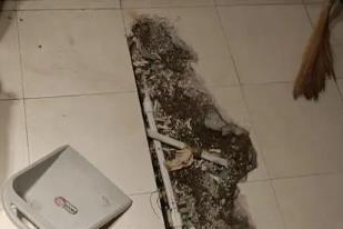 江达卫生间漏水检测电话